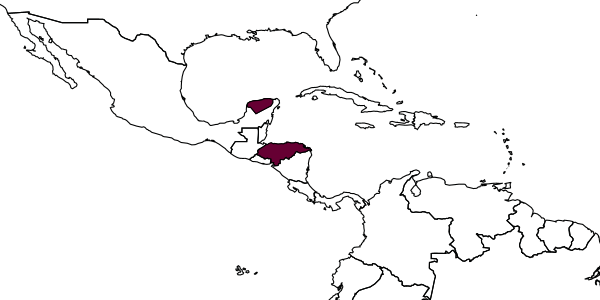 map of Neoptilia palla     Smith, 1992